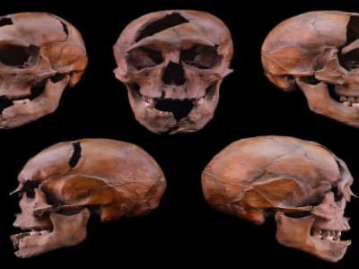 Terungkap! Misteri Pembunuhan Duke Béla yang Dibunuh Brutal Abad ke-13