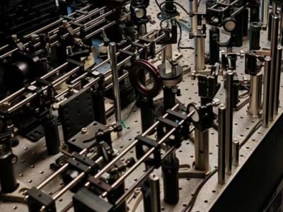 Teknologi Baru Ciptakan Gambar Otak Tikus Terjaga Tanpa Anestesi