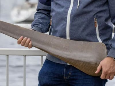 Inovasi Bilah Rotor Turbin Angin Ramah Lingkungan dengan Bahan Alami