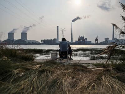 China Tolak Biaya Perlindungan Hutan Brasil, Minta Negara Kaya Bertanggung Jawab