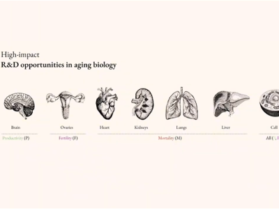 Bagaimana AI dan Biotek Perpanjang Usia Sehat dan Ubah Ekonomi Global