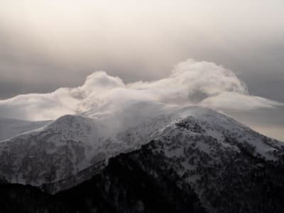 Teknologi Cloud Native Jadi Fondasi Utama AI dan Machine Learning 2025