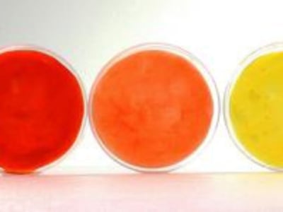 Teknologi Bakteri Baru: Cara Ramah Lingkungan Bikin dan Mewarnai Kain Sekaligus