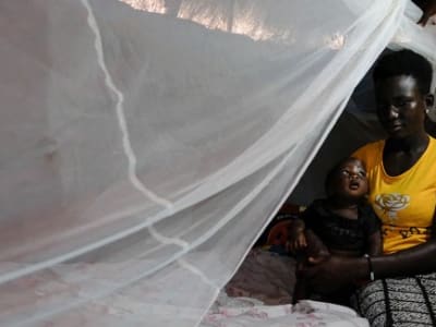 Obat Baru GanLum Tawarkan Harapan Lawan Resistensi Malaria di Afrika