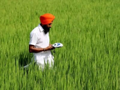 Mirova Investasi 30,5 Juta USD Dukung Pertanian Regeneratif Varaha di India