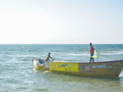 Kisah Sukses Konservasi Hiu Paus India: Harmoni Budaya dan Sains