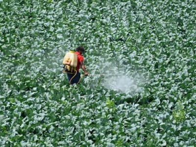 Startup AI Bindwell Ciptakan Pestisida Modern untuk Masa Depan Pertanian