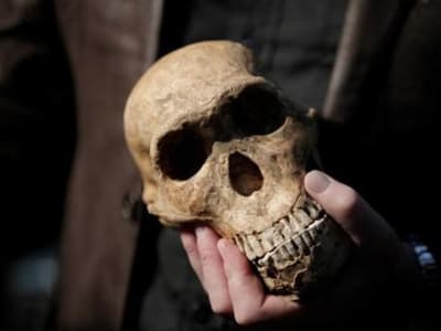 Pegunungan Zagros, Tempat Rekomendasi Perkawinan Silang Homo Sapiens dan Neanderthal