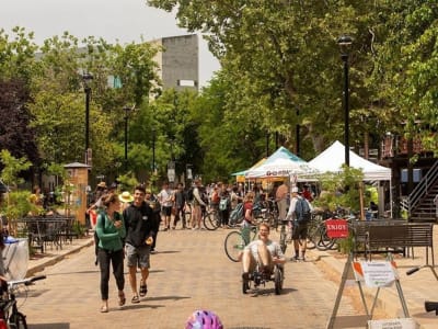 45 Kampus di AS Raih Penghargaan karena Dorong Budaya Bersepeda Sehat