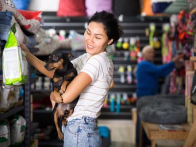 Compana Pet Brands Sukses Upgrade Cloud ERP untuk Dukung Pertumbuhan Berkelanjutan