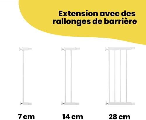 Vue 3 de Safety St Auto Close