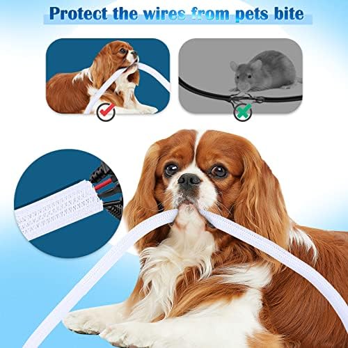 Vue 6 de Romon Manchon De