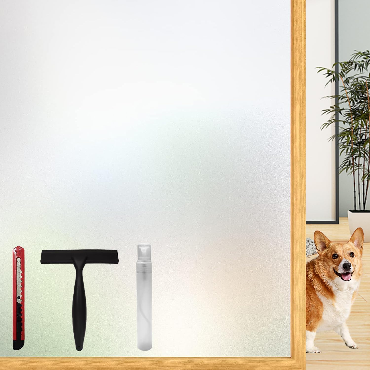 Film Fenetre Anti Regard