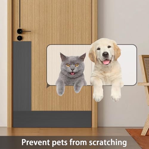 Vue 3 de Plaque De Pied En