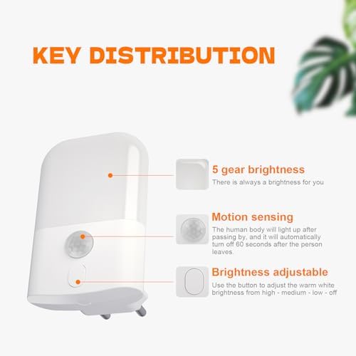 Vue 3 de Grifema Gd Veilleuse Enfant