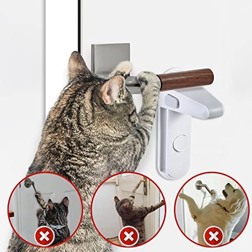 Vue 3 de Eudemon Verrou De Levier