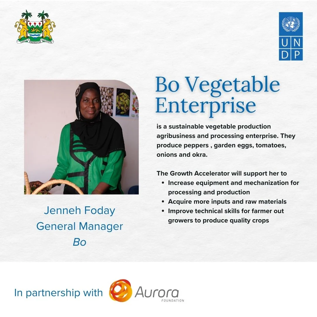 jenneh-foday-bo-vegetable-enterprise