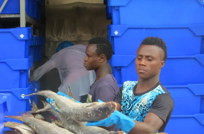 Sad news from West-African fishing territories