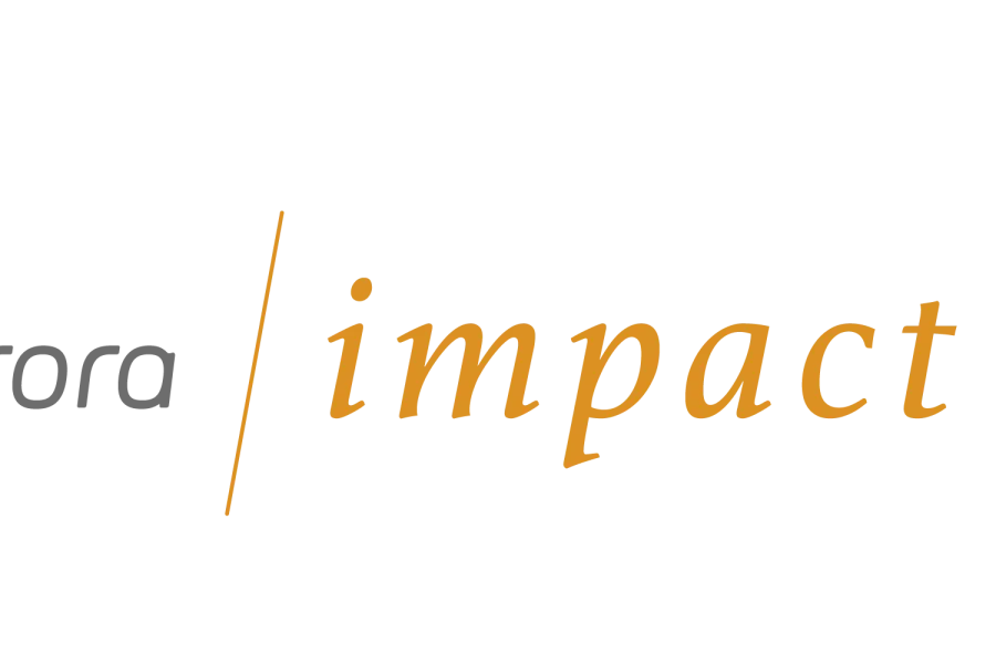 Icelandic Ministry of Foreign Affairs Funds Transformational Entrepreneurship Project in Sierra Leone