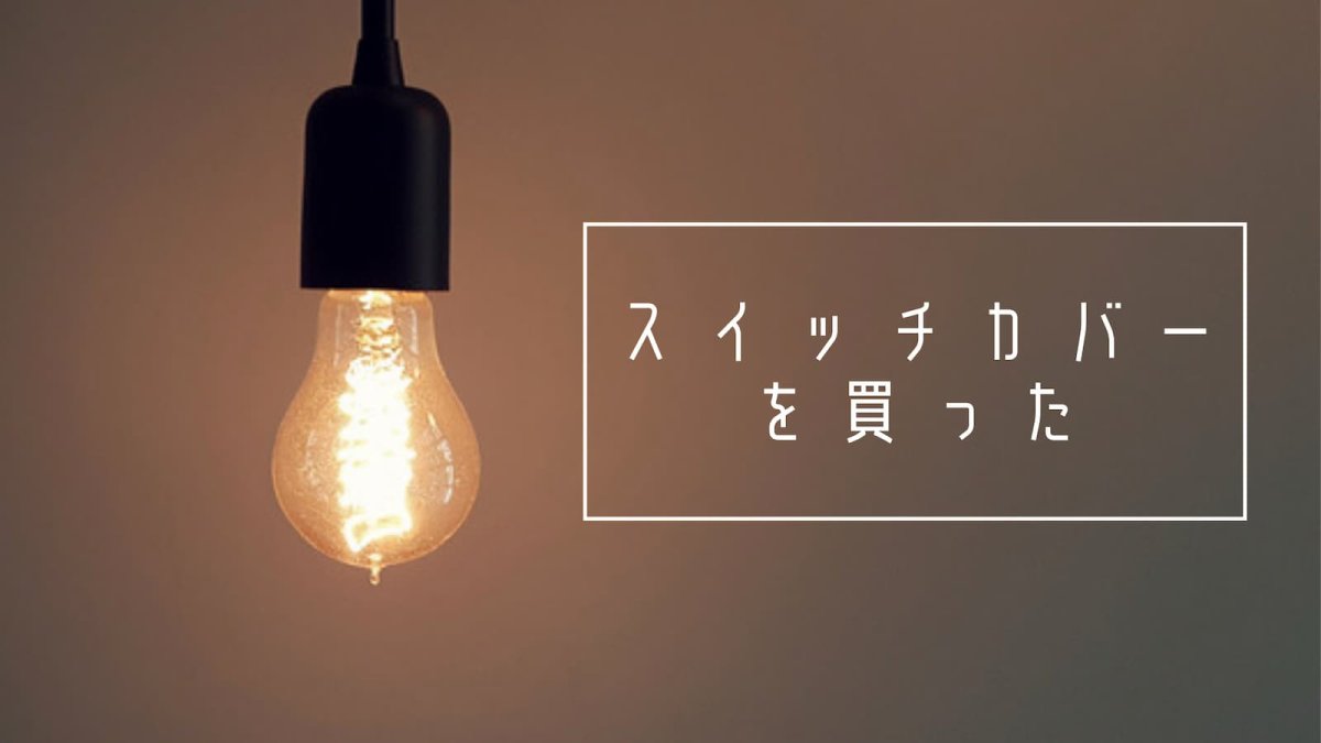 照明スイッチを間違って消してしまわないように保護カバーを購入した