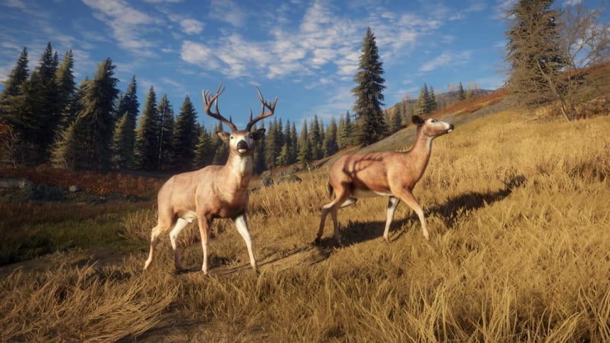 スポーツハンティングを楽しむ『theHunter: Call of the Wild』レビュー