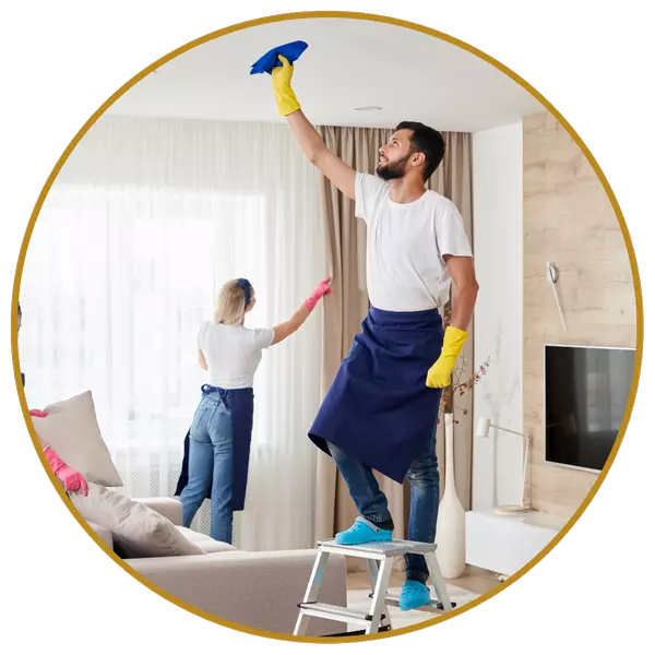 Professional Cleaners