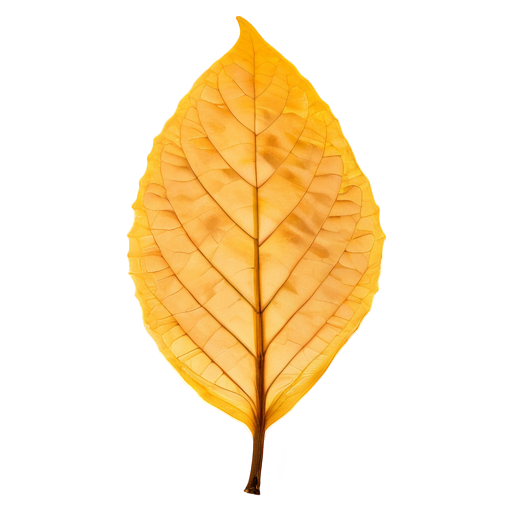 Tabakblatt