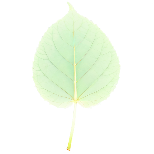 Veilchenblatt Absolue