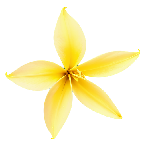Ylang-Ylang