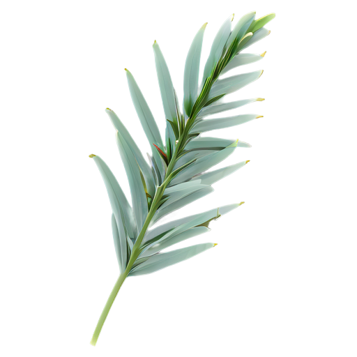 Zedernblatt