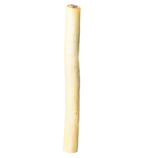 Zuckerrohr