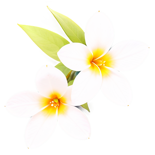 chinesischer Jasmin