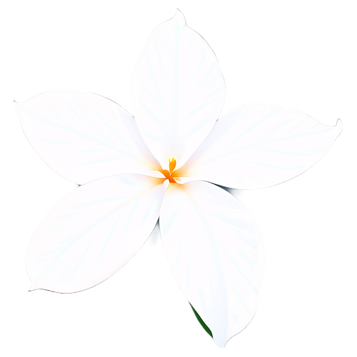 indischer Jasmin-Sambac