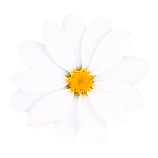 weiße Blüten Absolue