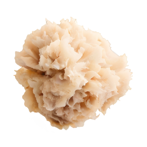 weißes Oud