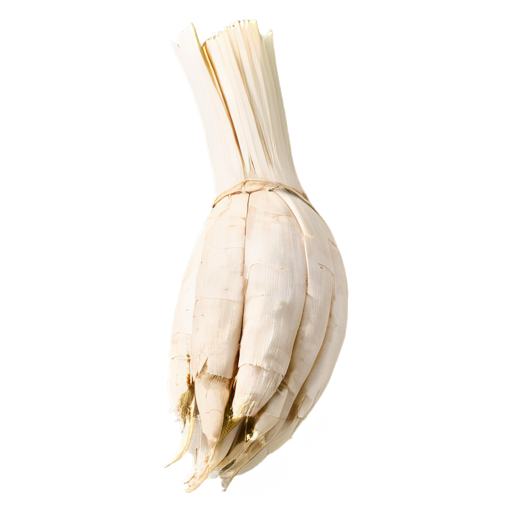 weißes Vetiver