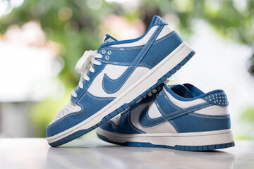 Nike Dunk Low Blue White Sneakers