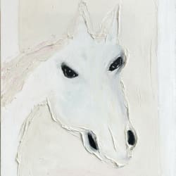 White horse by MENASHE KADISHMAN