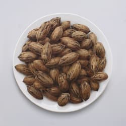 PECANS, 2017 by NATAN PERNICK