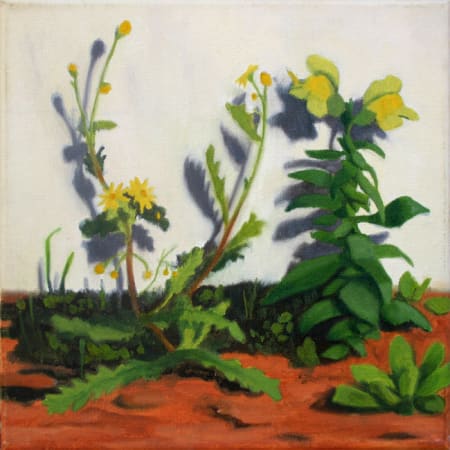 Yellow flowers by Alex Tubis [2012]
