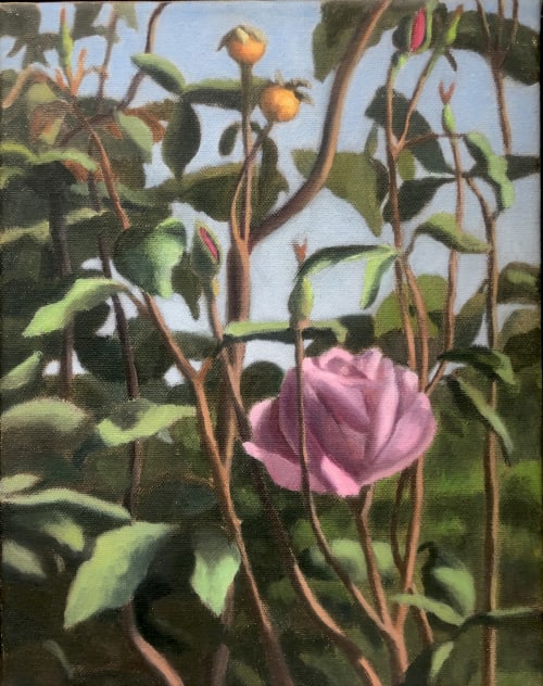 Rose by Alex Tubis [2011]