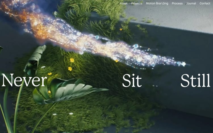 Never Sit Still