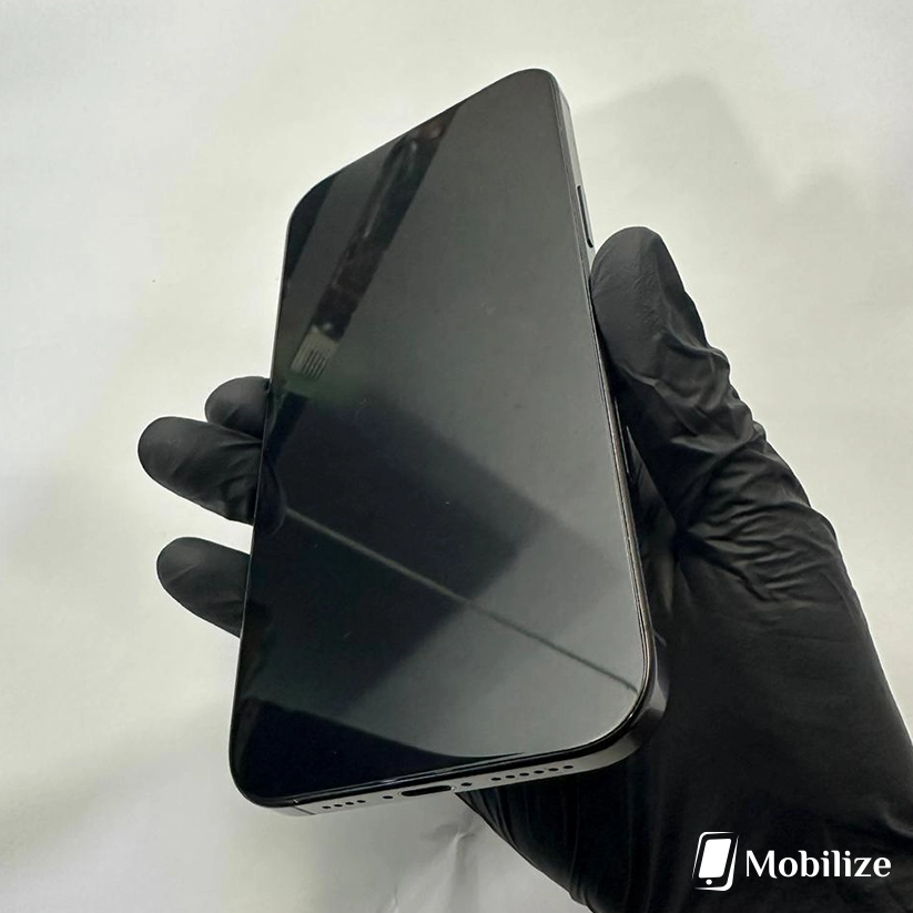 iPhone 16 Pro Max Desert Titanium