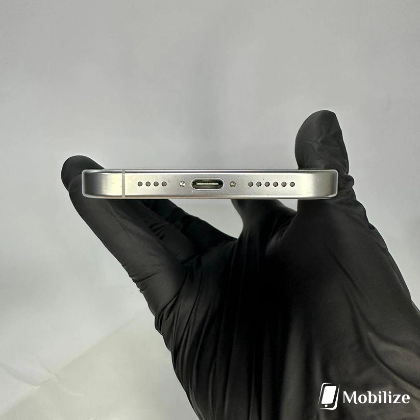 iPhone 16 Pro Max Desert Titanium