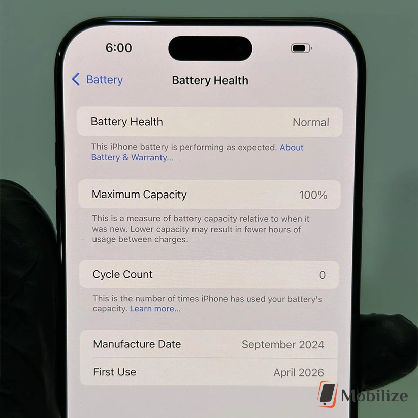 iPhone 16 Pro Max Desert Titanium