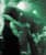 The Corvids