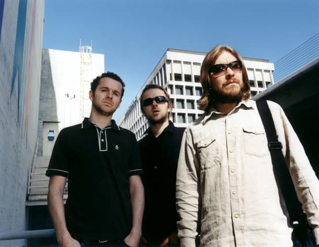 Doves at University of Sheffield