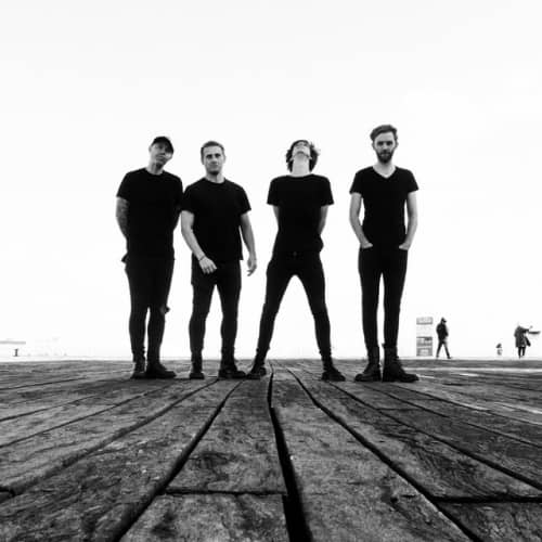 Pet Needs at The Corporation