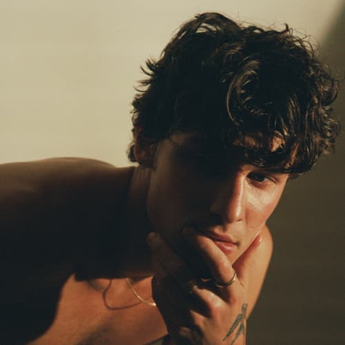 Shawn Mendes at Unknown