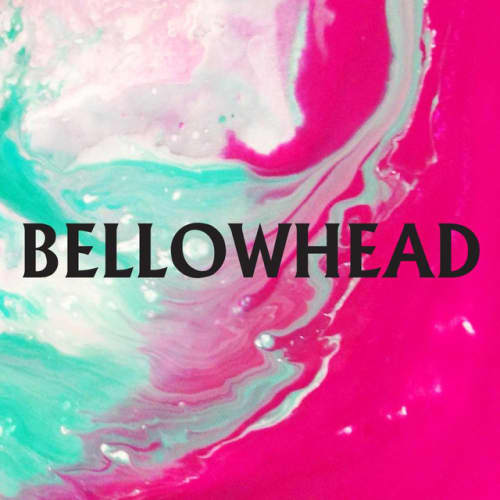 Bellowhead at Sheffield City Hall